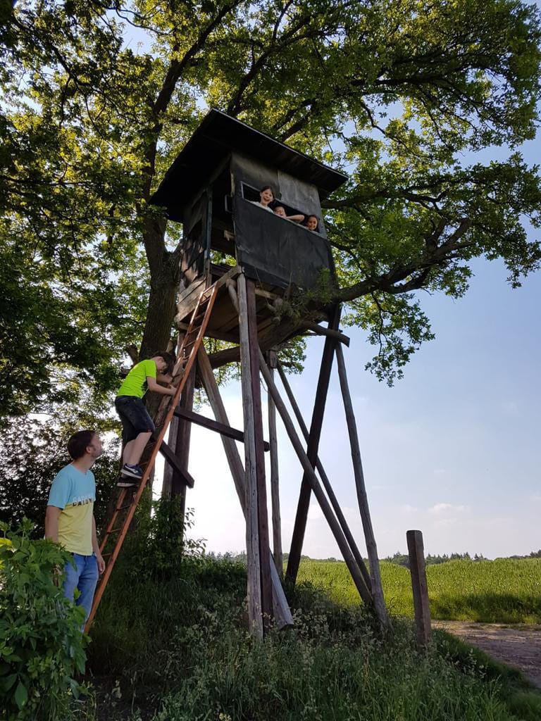 Ein Junge klettert die Leiter zu einem Hochsitz hinauf, drei Kinder schauen oben heraus, ein Betreuer sichert von unten